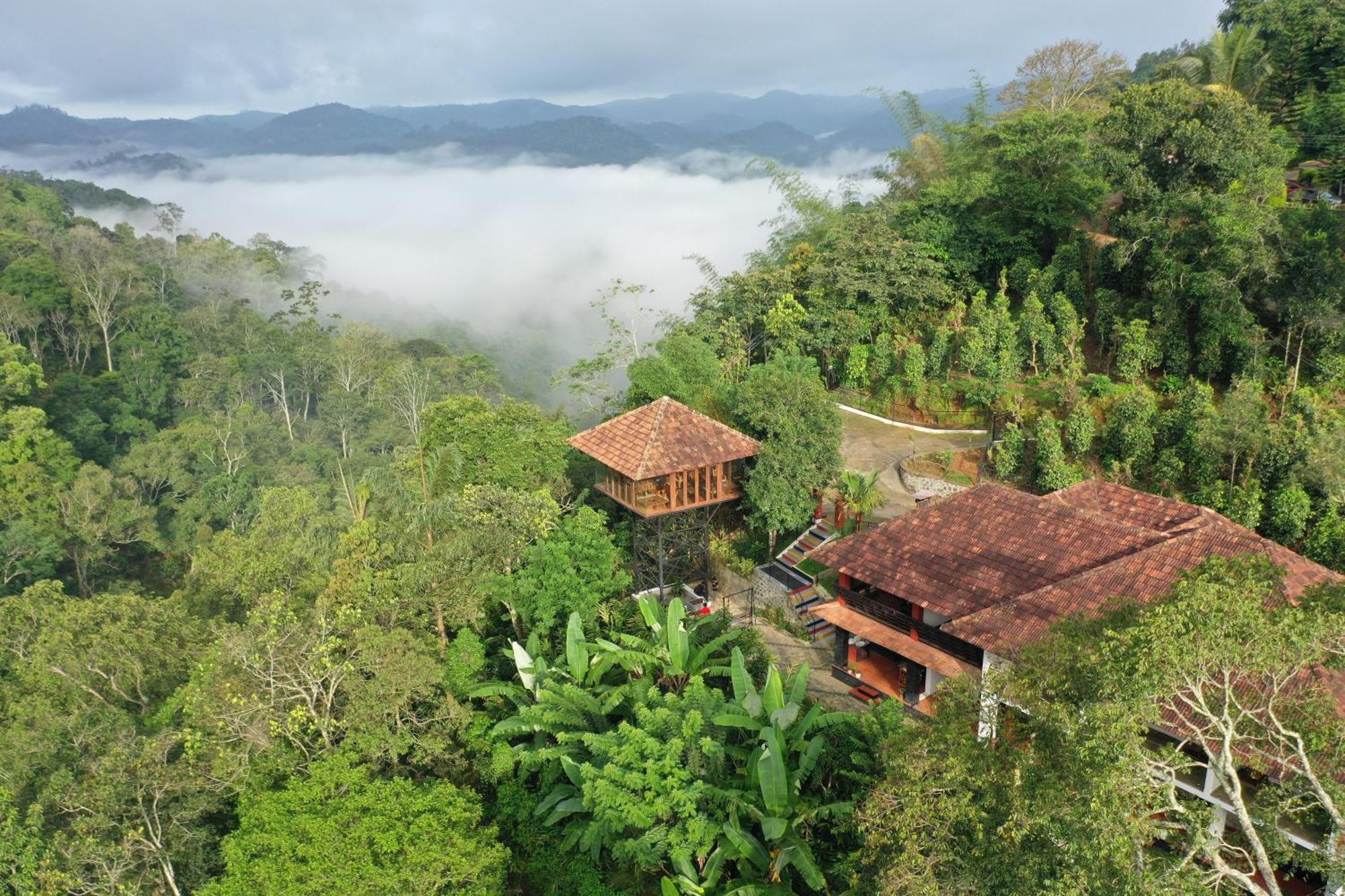 Spice Forest Plantation Homestay, Thekkady Vandiperiyār Extérieur photo