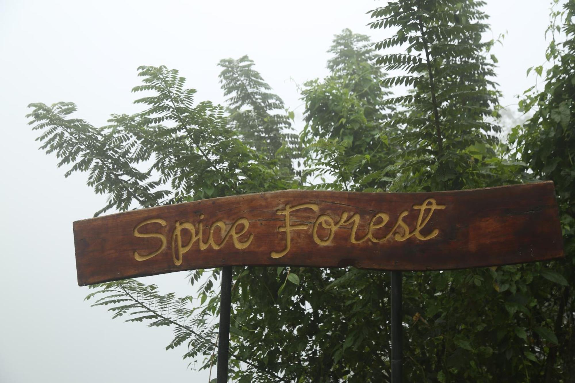 Spice Forest Plantation Homestay, Thekkady Vandiperiyār Extérieur photo
