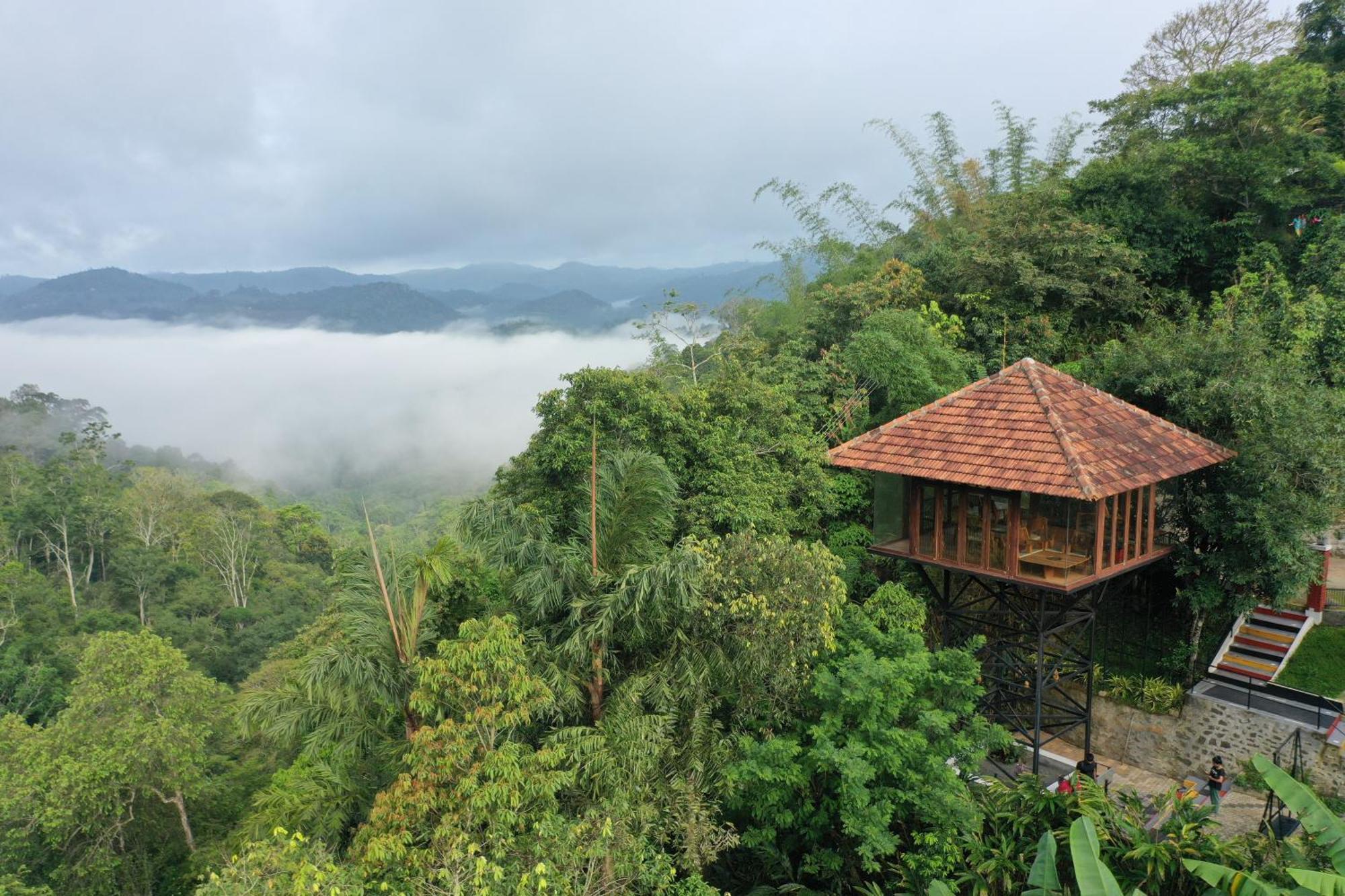 Spice Forest Plantation Homestay, Thekkady Vandiperiyār Extérieur photo